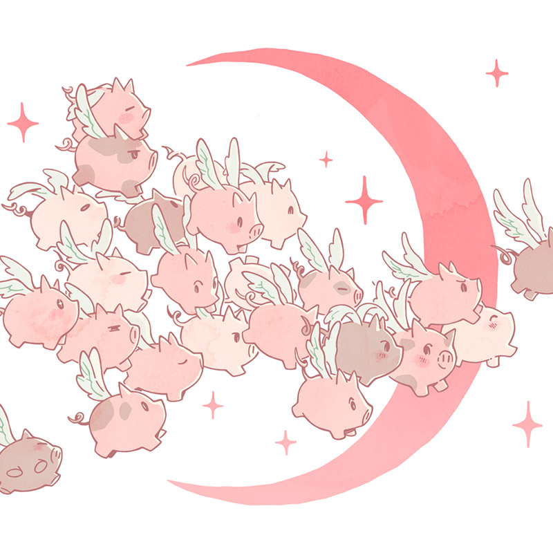 Year of the Pig